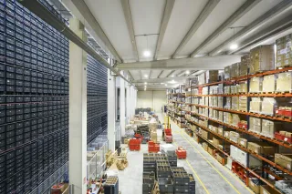 Warehouse storage racks filled with palletized cartons and plastic bins, beside marked floor aisles.